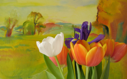 622595 (a): :2560x1600